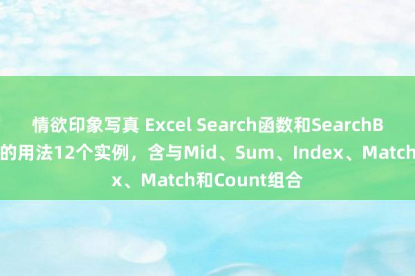 情欲印象写真 Excel Search函数和SearchB函数无极查找的用法12个实例，含与Mid、Sum、Index、Match和Count组合