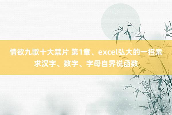 情欲九歌十大禁片 第1章、excel弘大的一招索求汉字、数字、字母自界说函数