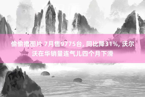 偷偷撸图片 7月售9775台, 同比降31%, 沃尔沃在华销量连气儿四个月下滑