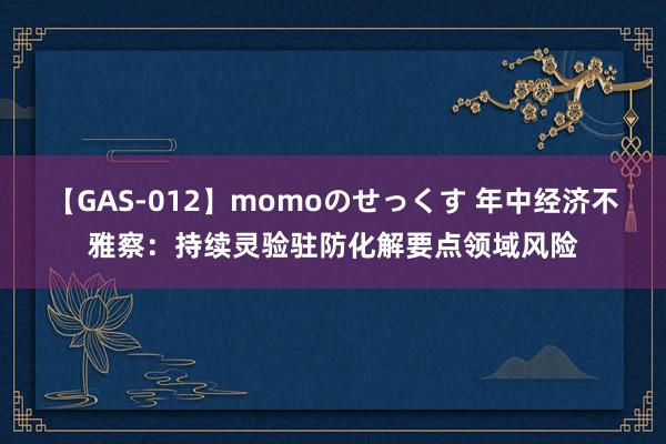 【GAS-012】momoのせっくす 年中经济不雅察：持续灵验驻防化解要点领域风险