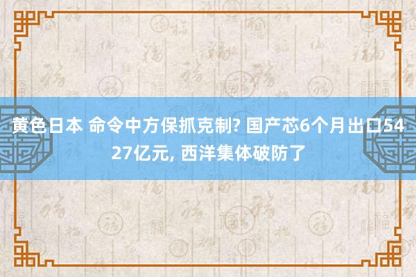 黄色日本 命令中方保抓克制? 国产芯6个月出口5427亿元, 西洋集体破防了