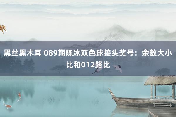 黑丝黑木耳 089期陈冰双色球接头奖号：余数大小比和012路比