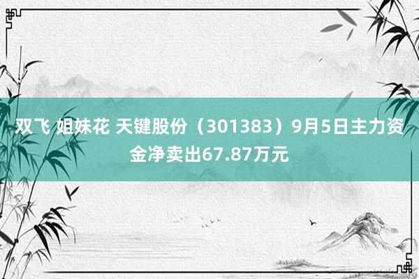 双飞 姐妹花 天键股份（301383）9月5日主力资金净卖出67.87万元