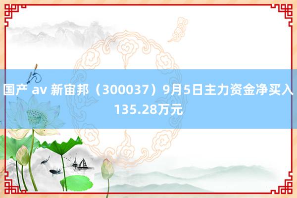 国产 av 新宙邦（300037）9月5日主力资金净买入135.28万元