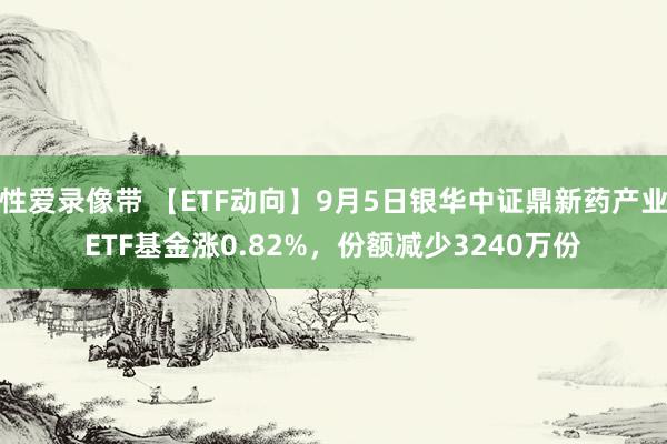 性爱录像带 【ETF动向】9月5日银华中证鼎新药产业ETF基金涨0.82%，份额减少3240万份