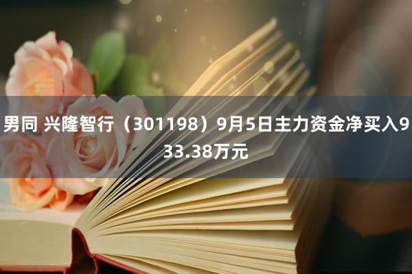 男同 兴隆智行（301198）9月5日主力资金净买入933.38万元