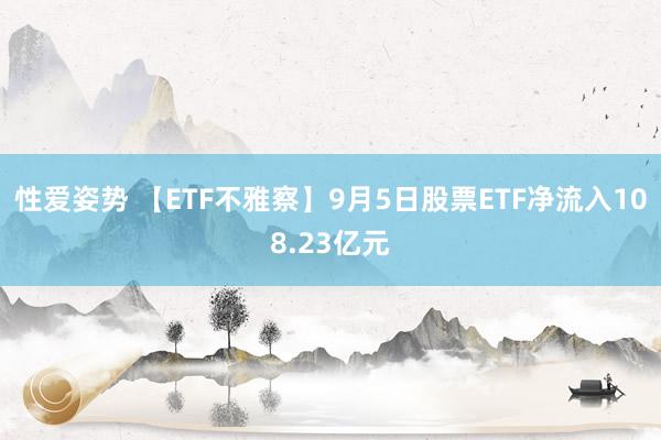 性爱姿势 【ETF不雅察】9月5日股票ETF净流入108.23亿元