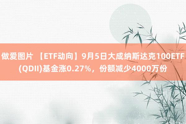 做爱图片 【ETF动向】9月5日大成纳斯达克100ETF(QDII)基金涨0.27%，份额减少4000万份