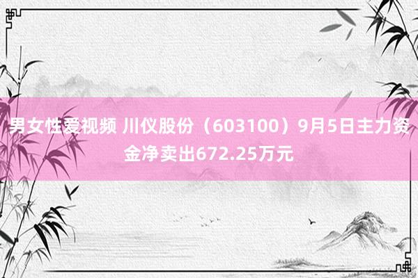 男女性爱视频 川仪股份（603100）9月5日主力资金净卖出672.25万元