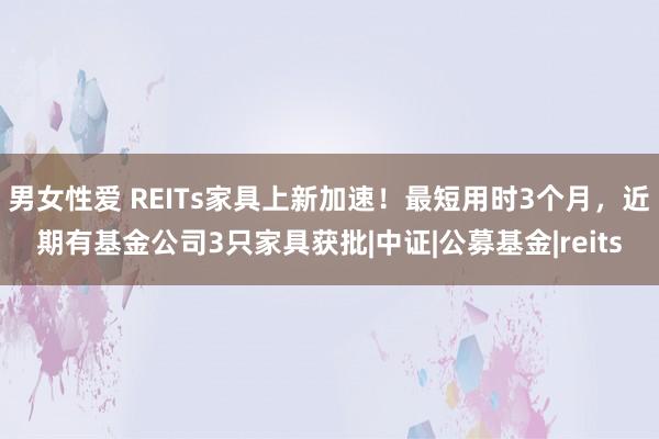 男女性爱 REITs家具上新加速！最短用时3个月，近期有基金公司3只家具获批|中证|公募基金|reits